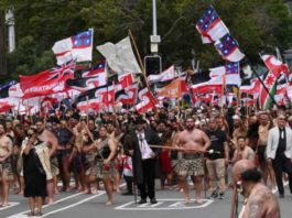 New Zealand witnessed protest at its Parliament today.