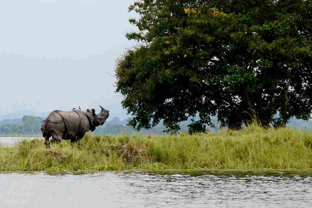 Top 5 Beautiful Places To Visit In Assam Under 12,000