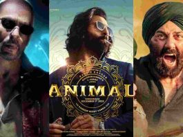 Top 5 Highest-Grossing Indian Movies Of 2023