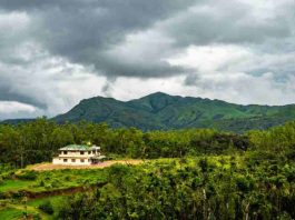 Discover the Top 4 Best Places in Chikmagalur at Just 9000.