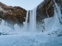 Mercury in the Arctic is posing as a major threat