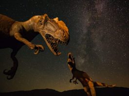 Dinosaurs were killed by an asteroid