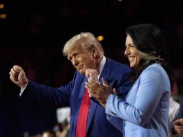 Tulsi Gubbard has bagged a key role in Donald Trump's cabinet.